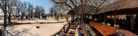 Our tented safari lodge on the edge of Moremi Game Reserve